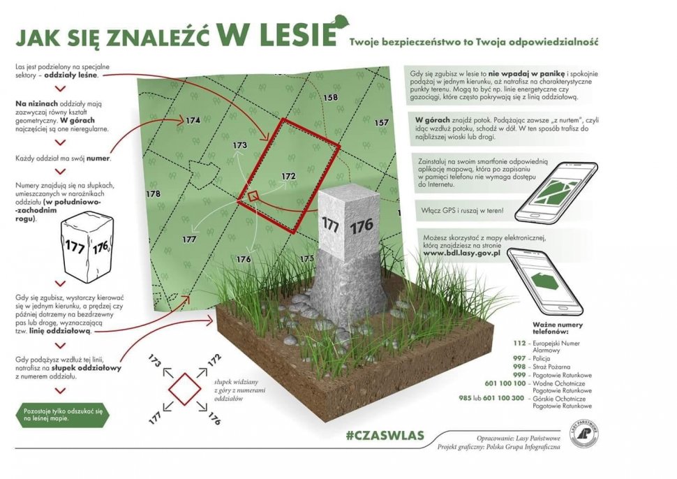 grafika przedstawiająca informacje jak znaleźć się w lesie