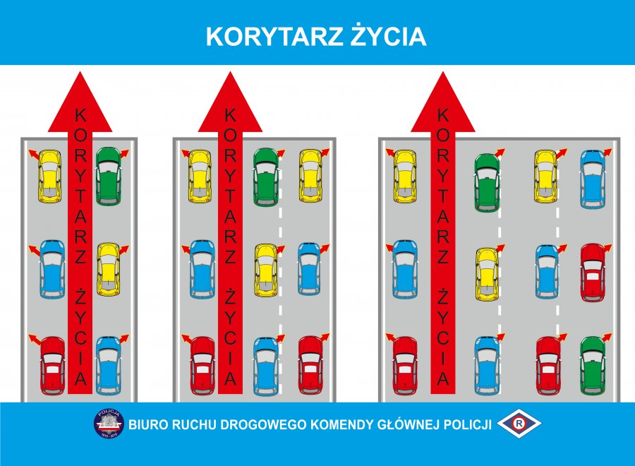 grafika przedstawia korytarz życia