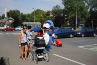 Na zdjęciu pies &quot;Sznupek&quot; promujący bezpieczeństwo na drodze.