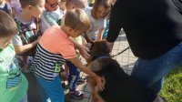 Dzieci z radością głaskały psy.