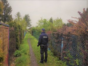 Mundurowy podczas kontroli ogródków działkowych pod kątem przebywnia na nich osób nieuprawnionych