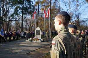 Zdjęcie wykonane za pleców umundurowanych uczniów klasy mundurowej, w tle widać pomnik Powstańców Śląskich oraz uczestników obchodów