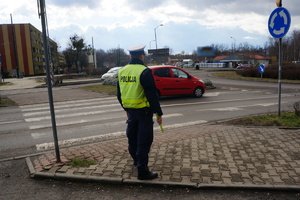 Na zdjęciu mundrurowy w trakcie obserwacji sytuacji na drodze w okolicy ronda oraz zachowania kierujących wobec pieszych przy oznakowanych przejściach dla pieszych