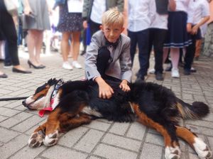 Na zdjęciu chłopiec podczas zabawy z psem. W tle widać pozostałych uczestników biorących udział w spotkaniu.