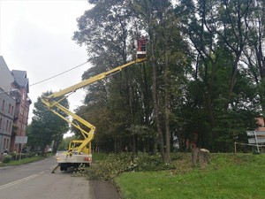 ulica, zwyżka i wycinka drzewa