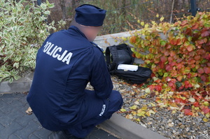 policjant nad pakunkiem