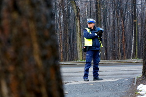 policjant ruchu drogowego stoi przy drodze, zdjęcie zrobione zza przydrożnego drzewa