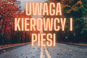 grafika przedstawia napis uwaga kierowcy i piesi a w tle droga pośród drzew