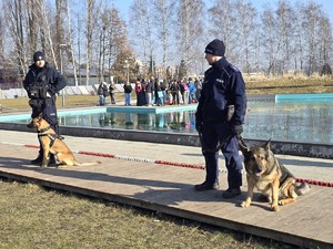 zdjęcie przedstawia policjantów z psami służbowymi