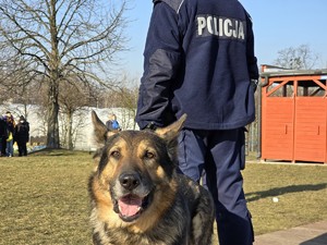 zdjęcie przedstawia policjanta z psem służbowym