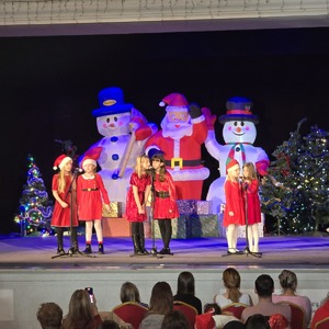 zdjęcie przedstawia występ artystyczny na scenie