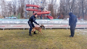 zdjęcie przedstawia policjanta z psem służbowym podczas pokazu