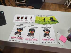 zdjęcie przedstawia ulotki