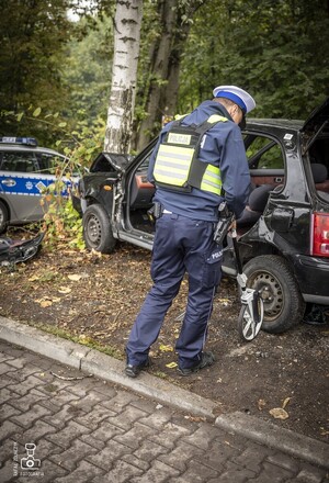 zdjęcie przedstawia policjantów wykonujących oględziny miejsca wypadku